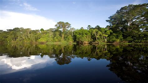 Descubre El Lodge En La Selva Pacaya Samiria En Iquitos Reserva