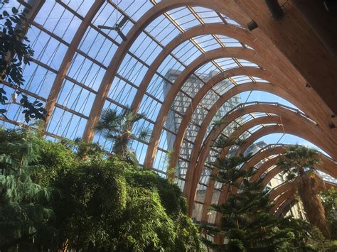 Winter gardens sheffield visits are essential for any local tourist 6