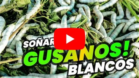 Qu Significa So Ar Con Gusanos Blancos Significado Real