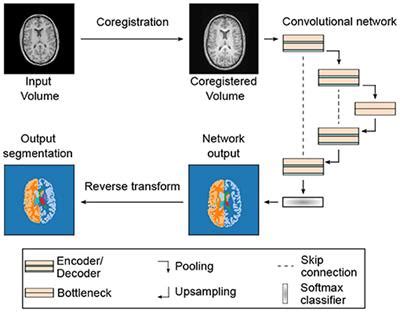 Frontiers Multi Modal Segmentation Of 3D Brain Scans Using Neural