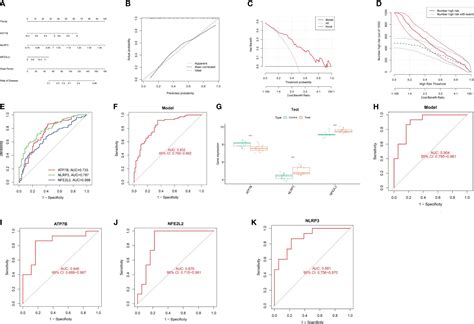 Frontiers Identification And Validation Of Potential Diagnostic