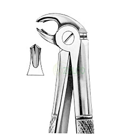 Extracting Forceps English Pattern Fig S Lower Molars