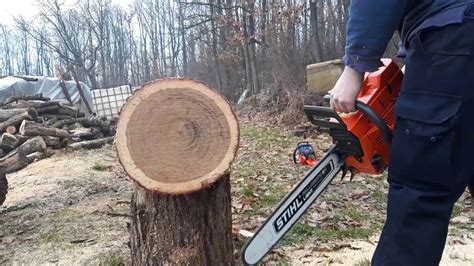 Husqvarna 395 Vs Stihl 661 Clasic Carb No Mtronic YouTube