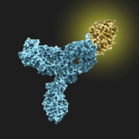 Lighten up your spatial biology journey: tips for selecting the perfect secondary antibody for ...