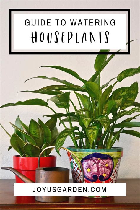 Watering Indoor Plants, A Complete Guide | Joy Us Garden | Easy garden, Container gardening, Plants