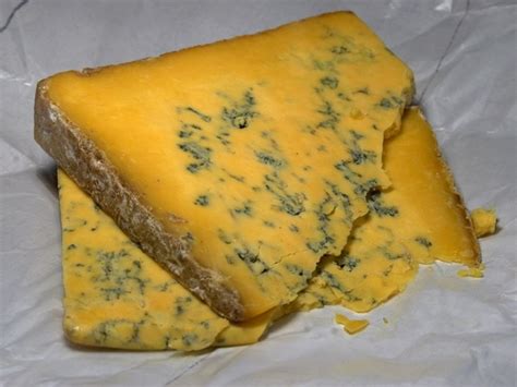 Shropshire blue cheese blue mold mold Free stock photos in JPEG (.jpg ...