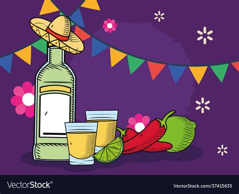 Tequila Bottle Cups Royalty Free Vector Image Vectorstock