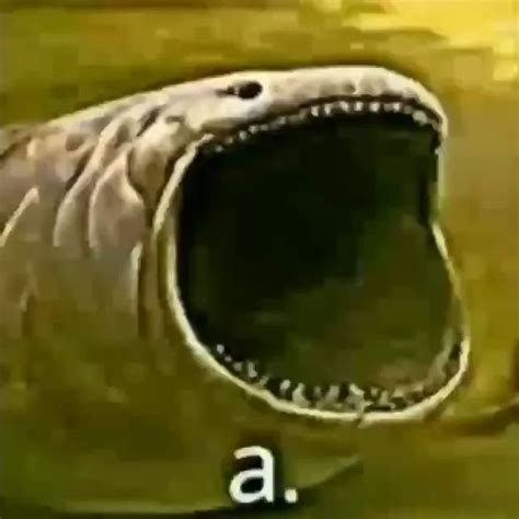 Bloop meme a. | Piadas para whatsapp, Piadas para rir muito, Piadas ...
