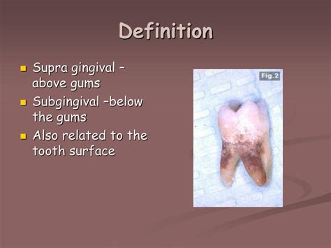 Ppt Biofilms Powerpoint Presentation Free Download Id262533