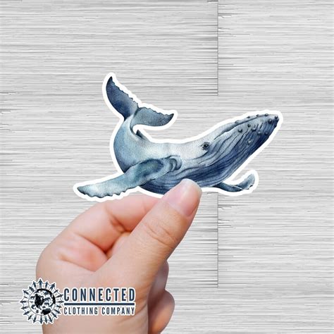 Humpback Whale Sticker Ocean Conservation Decal Save The Etsy