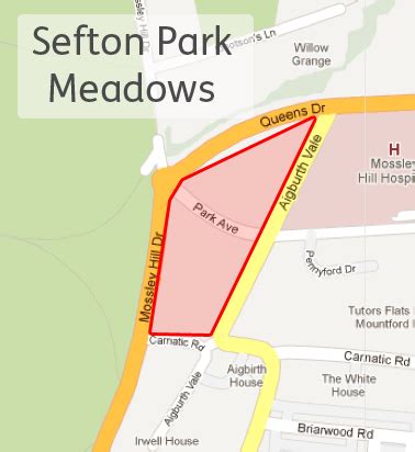 Save Sefton Park Meadows: Save Sefton Park Meadows