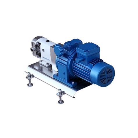 China Customized Lobe Pump With Flange Hopper Manufacturers Suppliers