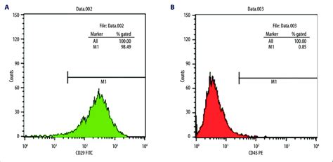 Flow Cytometry Analysis Of Bmmsc Fluorescent Cell Sorting Of Passage 3 Download Scientific