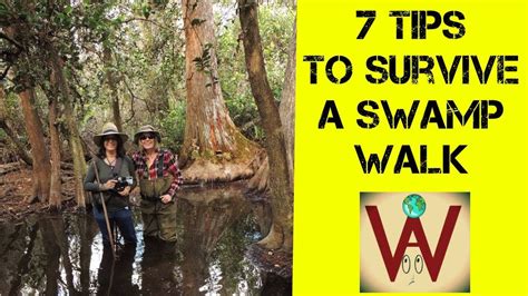 Top 7 Tips To Survive A Swamp Walk Youtube