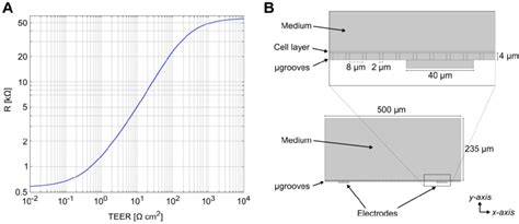 Fig S5 Teer Normalization To Area Obtained By Numerical Study A