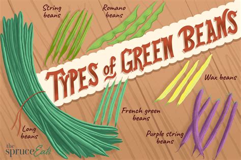 Guide To Beans From Green To Purple To Varieties