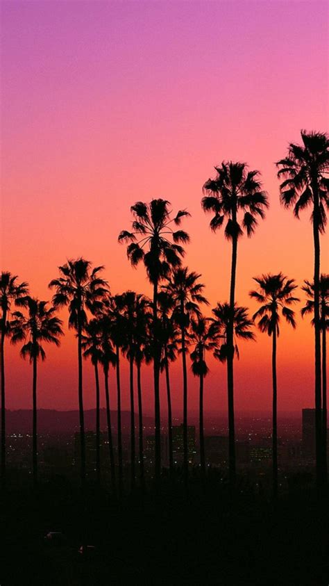 🔥 [30+] Los Angeles Sunset Wallpapers | WallpaperSafari