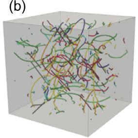 A Initial Dislocation Microstructure Made Of A Random Distribution Of