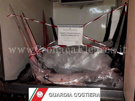 Sequestrati 400 Chili Di Pesce Spada Il Carico Diretto Al Mercato