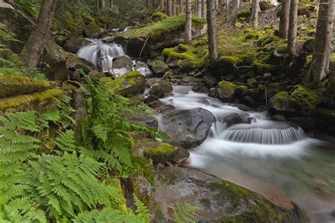 Alpine Stream Photograph By Lorenzo Tonello Fine Art America