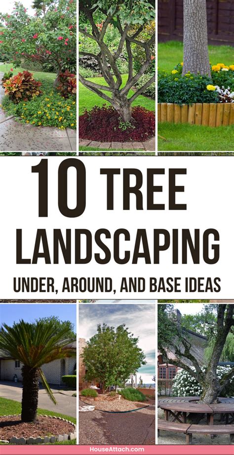 15 Creative Tree Landscaping Ideas