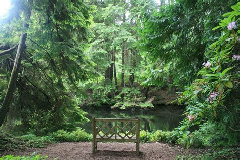 Bloedel Reserve On Bainbridge Island