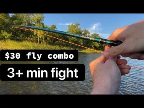 FLY FISHING REVENGE Smokin RIVER FISH YouTube