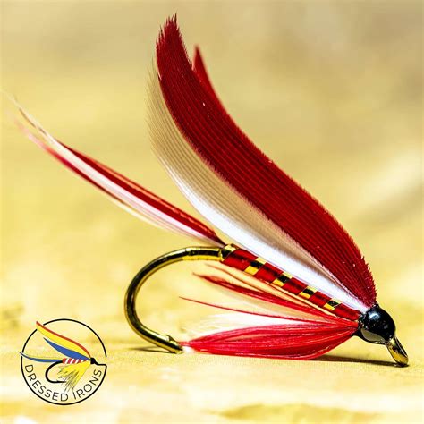 Tying Video The Ibis And White Dressed Irons