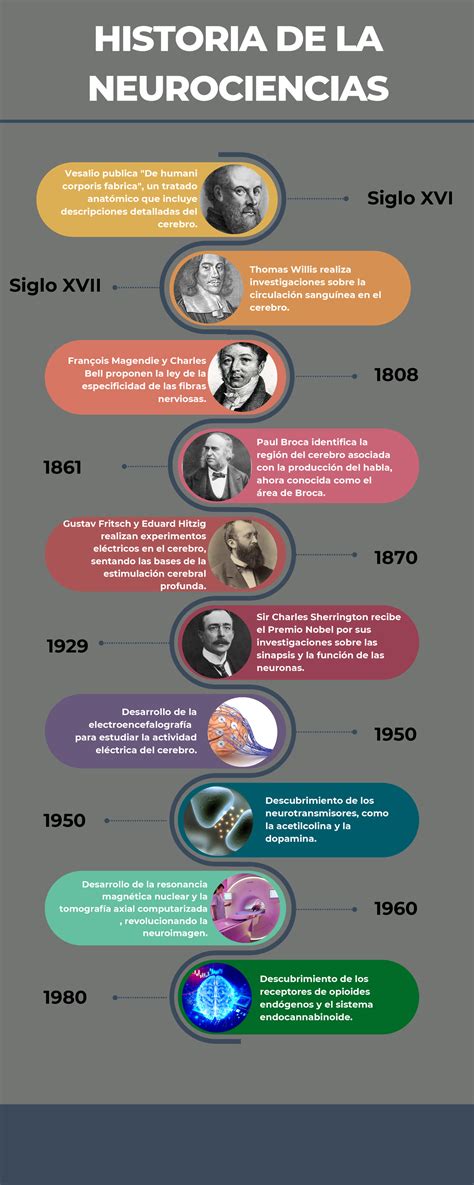 Infografía Línea De Tiempo Cronológica Multicolor Historia De La Neurociencias 1808 François