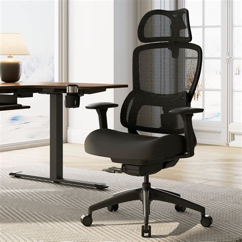 Eureka Flexible Adjustable Lumbar Support High Back Home Office Chair