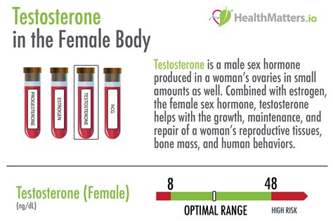 What Is Testosterone Serum Female Lab Results Explained