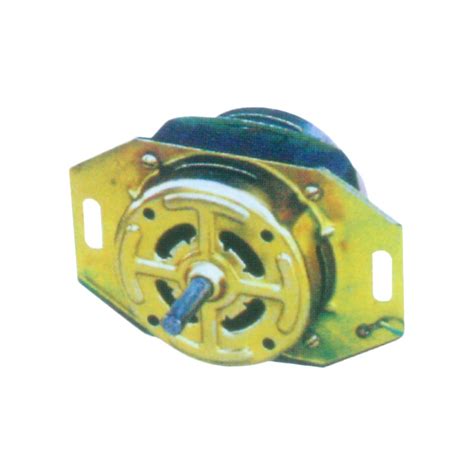 Washing Machine Motor Series