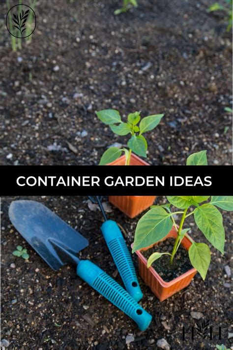 Container garden ideas 🌿 🌺 Innovative garden ideas for any setting