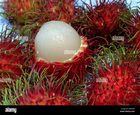 Tropical Fruit Rambutan Stock Photo Alamy