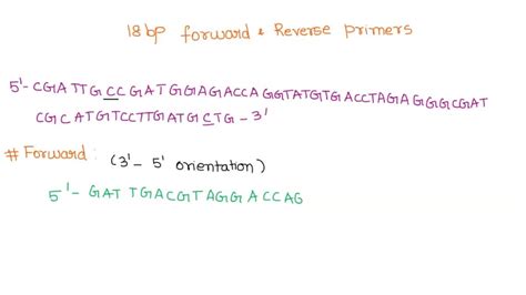 Solved For The Dna Sequence Below Design Bp Forward And Reverse