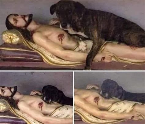 Il Cane Che Fa La Guardia Alla Statua Di Cristo Incanta Il Mondo