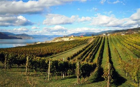 Naramata Bench Wineries Spring Wine Release Events Good Life Vancouver