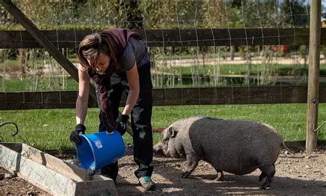 Glissez vous dans la peau d un soigneur animalier à la Tanière de