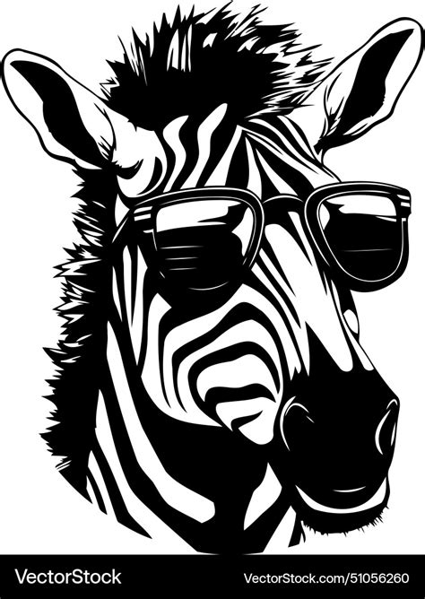 Zebra With Sunglasses Of A Zebra In Sunglasses Vector Image