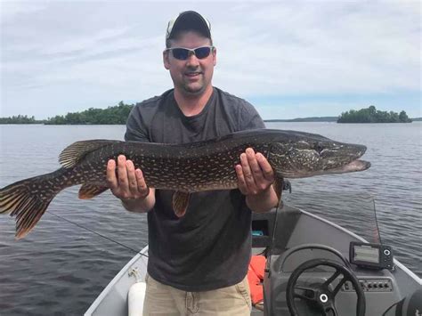 Lake Vermilion Area Attractions Everett Bay Lodge