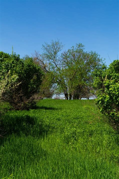 An Open Grass Field At Rainey Park In Astoria Queens New York With The Roosevelt Island And