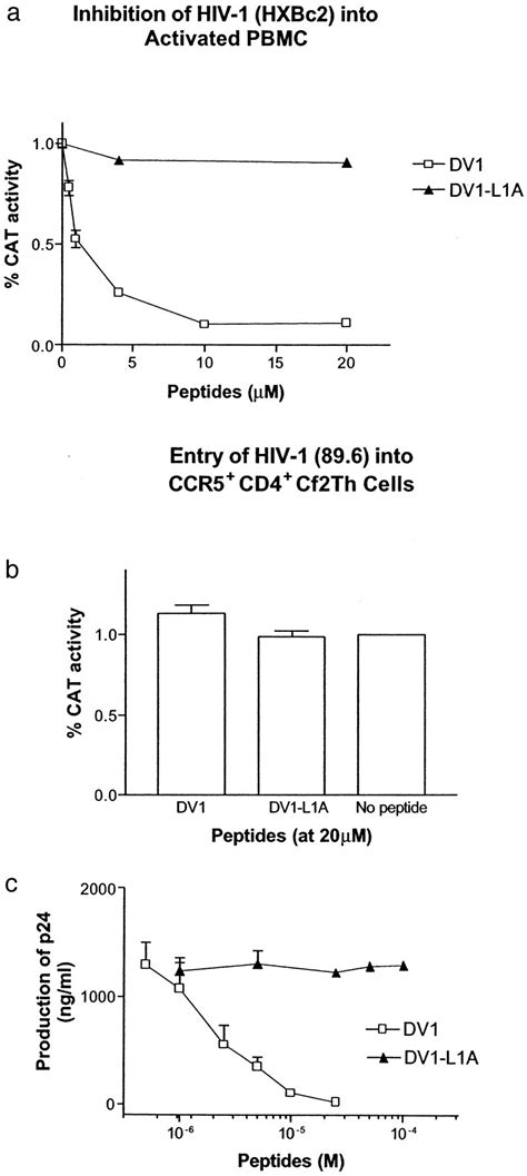 Exploring The Stereochemistry Of Cxcr4 Peptide Recognition And