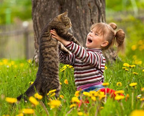 Little Girl Playing With A Cat In The Park. Stock Image - Image: 33675131