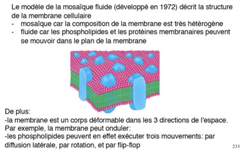 Lipide Et Structure De La Membrane Flashcards Quizlet