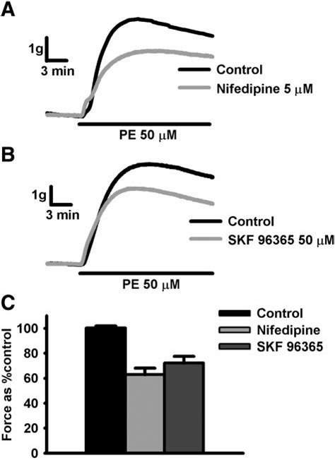 Inhibitory Effects Of Nifedipine And Skf On Pe Contractions In