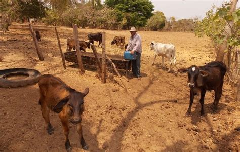 Economía sigue desacelerándose Panamá América