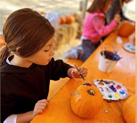 Fuori Di Zucca Parte La Terza Edizione Alla Mostra D Oltremare