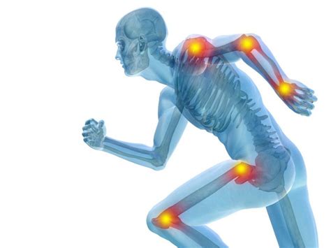 Exercícios sobre o sistema articular Fixação de conteúdo gabarito