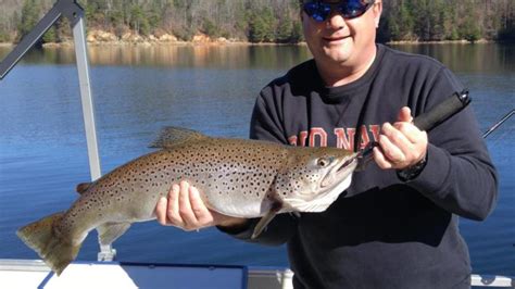 Anglers Catching Plenty Of Lake Jocassee Trout