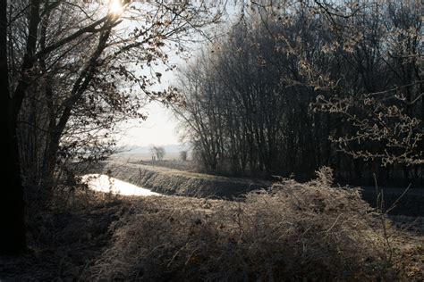 Free Images Landscape Tree Water Nature Forest Grass Branch